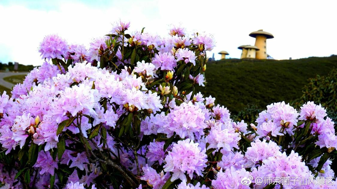 乌克兰女记者遗体被俄归还协和往年4加4录取名单已无法查询